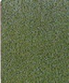 velour piniengrün